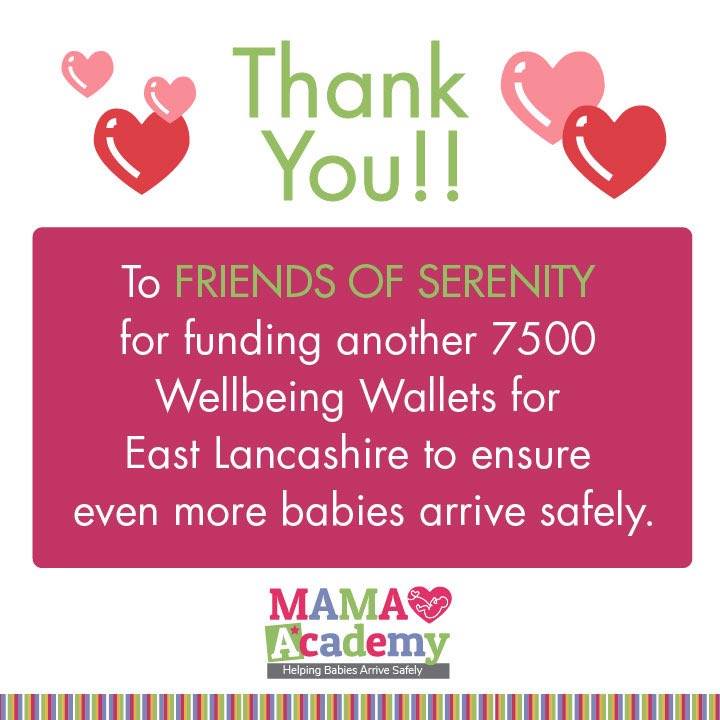 Mama Academy Wallets Friends of Serenity